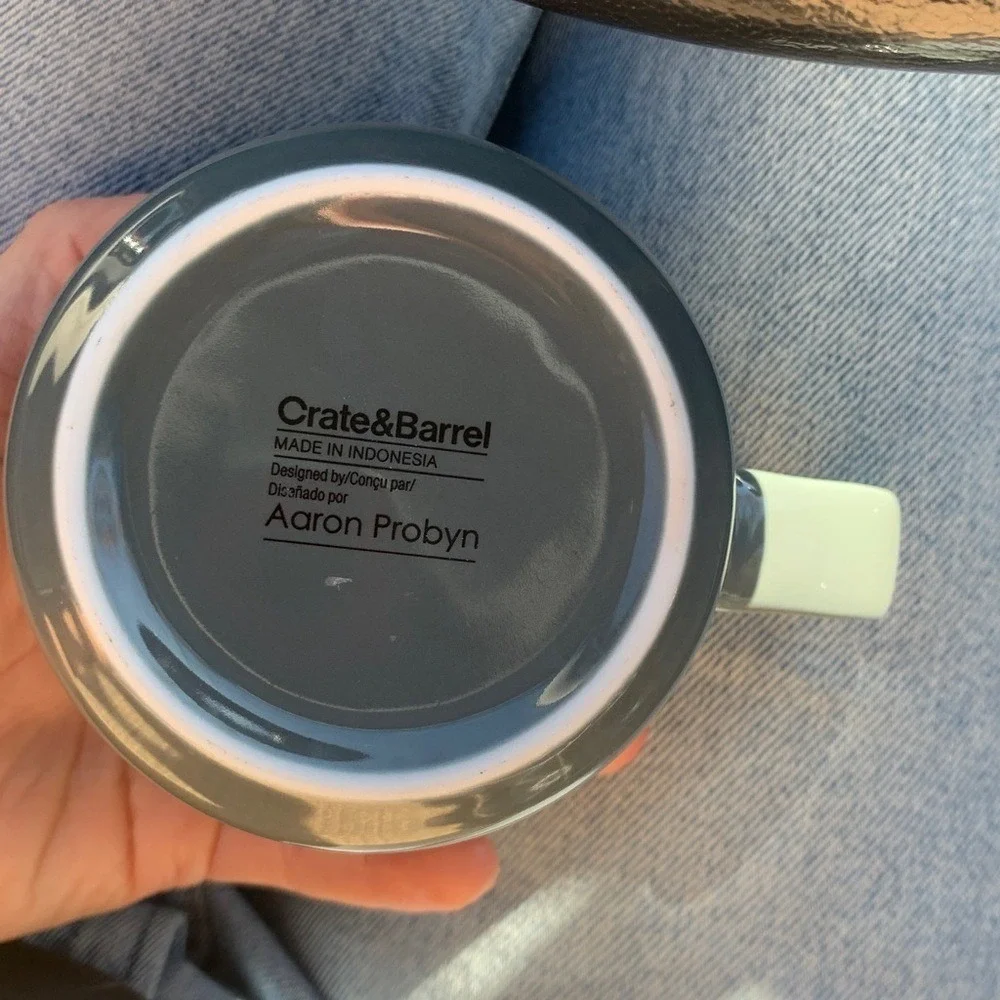 Crate & barrel Aaron Probyn set of 4 mugs gray‎ ceramic